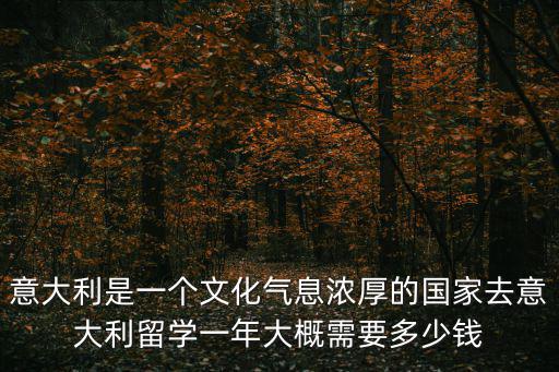 意大利是一個文化氣息濃厚的國家去意大利留學一年大概需要多少錢