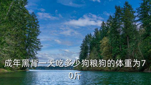 成年黑背一天吃多少狗糧狗的體重為70斤