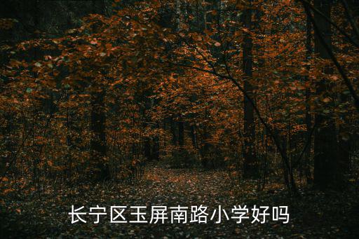 長寧區玉屏南路小學好嗎