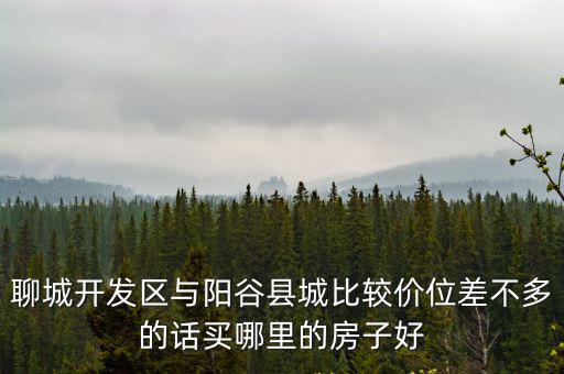 聊城開發(fā)區(qū)與陽谷縣城比較價位差不多的話買哪里的房子好