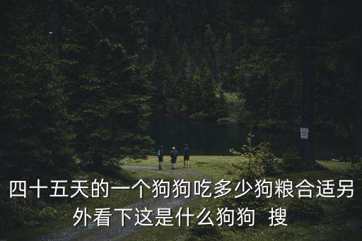 四十五天的一個狗狗吃多少狗糧合適另外看下這是什么狗狗  搜