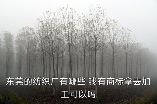 東莞紡織廠名單，東莞紡織廠哪里最多