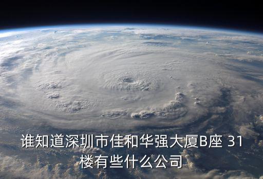 誰知道深圳市佳和華強大廈B座 31樓有些什么公司
