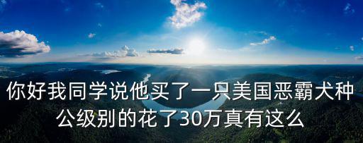 東莞惡霸犬價格多少錢一只，東莞哪里有賣金毛犬價格多少純種金毛幼犬多少錢一只