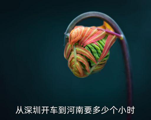 深圳到三門峽開車要幾個小時，深圳去三門峽的火車怎么去票價