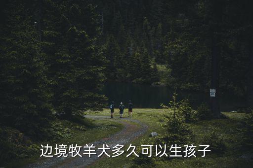 邊境牧羊犬多久可以生孩子