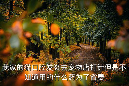 我家的貓口腔發炎去寵物店打針但是不知道用的什么藥為了省費