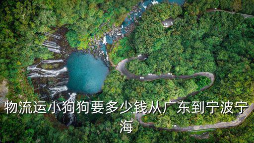 物流運小狗狗要多少錢從廣東到寧波寧海