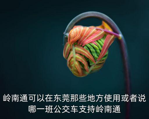 東莞哪里可以充嶺南通，嶺南通和羊城通有什么區別在哪里可以購買辦理要什么手續