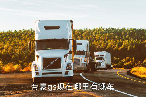 帝豪gs現在哪里有現車