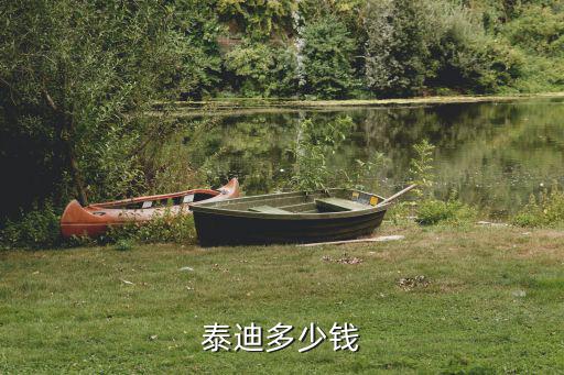 泰迪多少錢