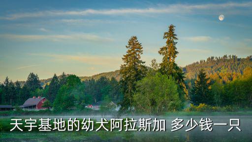 天宇基地的幼犬阿拉斯加 多少錢一只