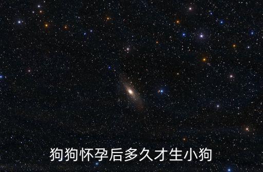 狗狗懷孕后多久才生小狗