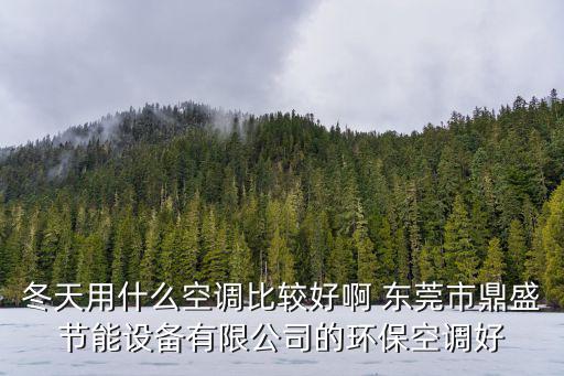 冬天用什么空調比較好啊 東莞市鼎盛節能設備有限公司的環保空調好