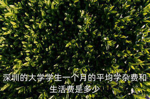 深圳的大學學生一個月的平均學雜費和生活費是多少