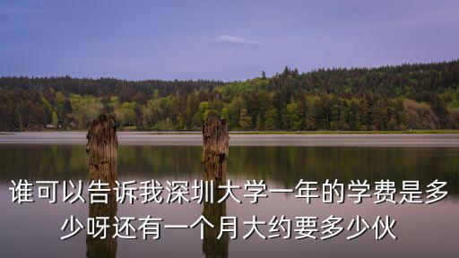 深圳市大學的學費，深圳大學學費多少