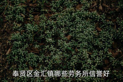 奉賢區金匯鎮哪些勞務所信譽好