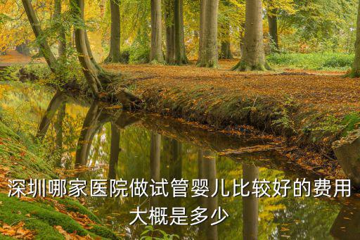 深圳哪家醫院做試管嬰兒比較好的費用大概是多少
