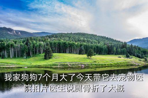 狗腿斷了拍片子多少錢，狗腿骨折了去寵物醫院固定什么的要多少費用