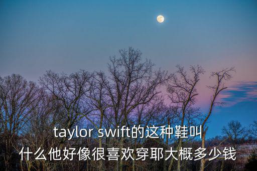 狗穿的鞋多少錢，PDSOFT的狗多少錢一個
