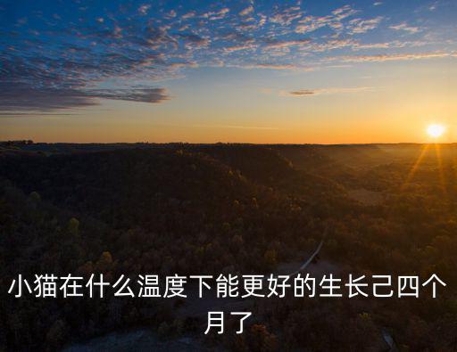小貓在什么溫度下能更好的生長己四個月了