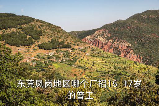 東莞鳳崗地區哪個廠招16  17歲 的普工
