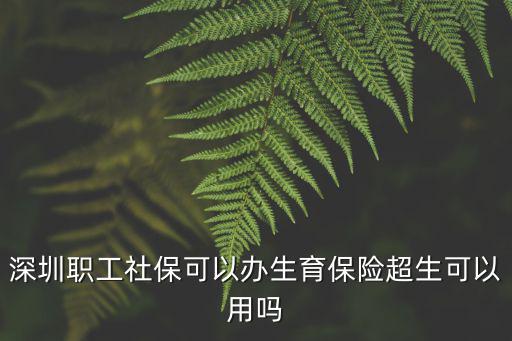 深圳職工社保可以辦生育保險超生可以用嗎