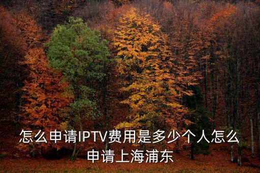 怎么申請IPTV費用是多少個人怎么申請上海浦東