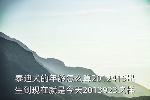 泰迪犬的年齡怎么算2012415出生到現在就是今天2013923這樣