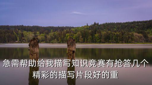急需幫助給我描寫知識競賽有搶答幾個精彩的描寫片段好的重