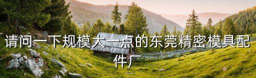 請問一下規模大一點的東莞精密模具配件廠