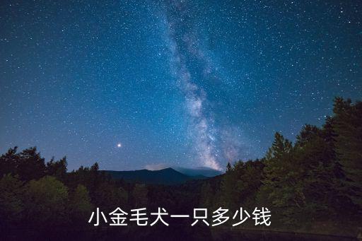 小的金毛狗狗多少錢一只，純種的金毛犬市場價多少rmb