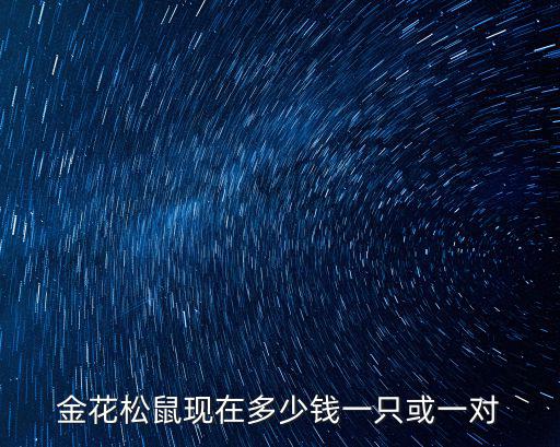 小金花松鼠幼鼠多少錢，金花松鼠一直小的多少錢 養了3個月