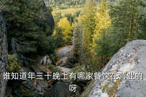 誰知道年三十晚上有哪家餐飲在營業的呀
