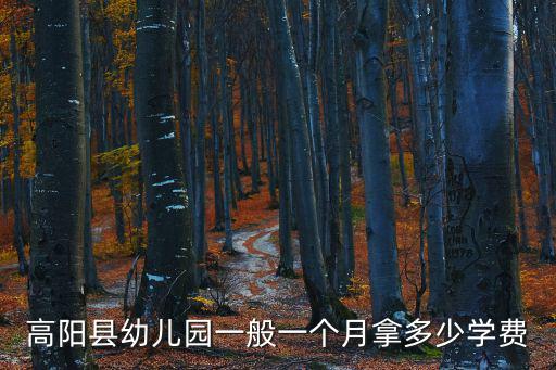 高陽縣幼兒園一般一個月拿多少學費