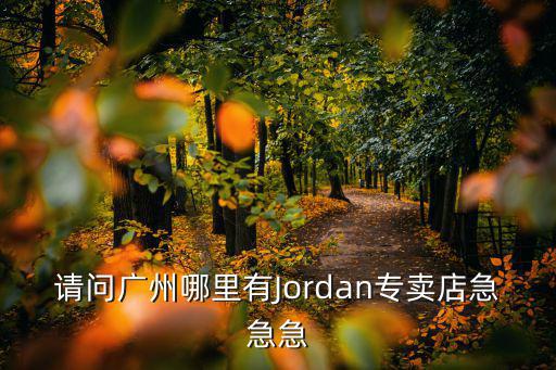 請問廣州哪里有Jordan專賣店急急急