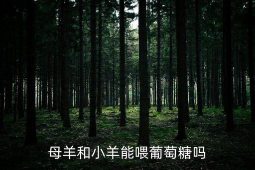 羊怎么喂葡萄糖喂多少，羊可以適量的飼喂葡萄糖嗎