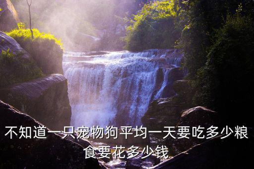 小狗不知道吃多少錢，不知道一只寵物狗平均一天要吃多少糧食要花多少錢
