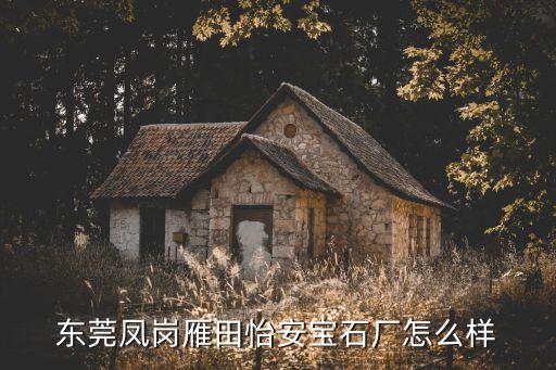 東莞鳳崗雁田怡安寶石廠怎么樣