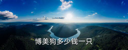 小體博美犬多少錢一只，博美狗多少錢一只
