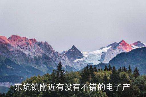 東坑鎮附近有沒有不錯的電子產