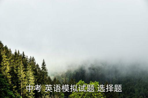 中考 英語模擬試題 選擇題