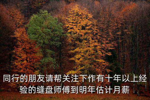 同行的朋友請幫關注下作有十年以上經驗的縫盤師傅到明年估計月薪