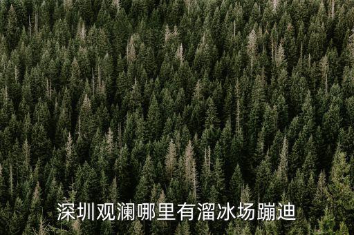 深圳觀瀾哪里有溜冰場蹦迪