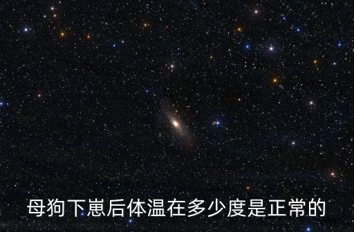 母狗產后體溫多少，母狗產后肛溫393要是發燒怎么辦