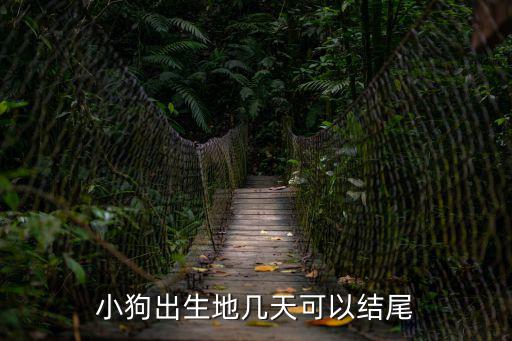 小狗出生地幾天可以結尾