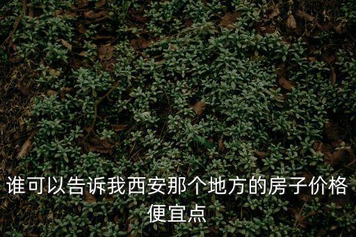 誰可以告訴我西安那個地方的房子價格便宜點