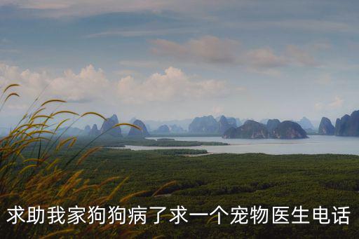 寵物醫生的電話多少，求助我家狗狗病了求一個寵物醫生電話