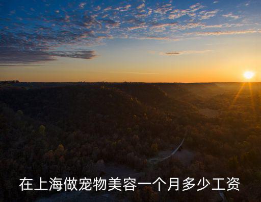 在上海做寵物美容一個月多少工資