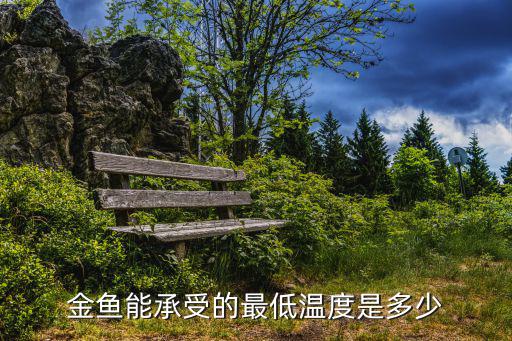 金魚能承受的最低溫度是多少